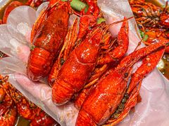 -杨氏青龙虾·羊蝎子(托乐嘉店)