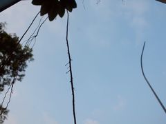 -福田农产品批发市场有限公司蔬菜交易区