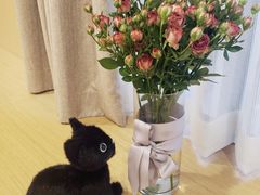 -茶马花街(城西银泰城店)