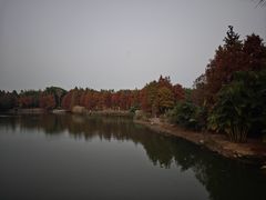 -厦门园林博览苑