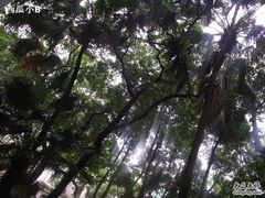 DSCF1669-星巴克臻选(广州沙面店)