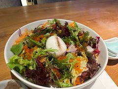 蛋蛋沙拉-Hatsune隐泉日式料理(三里屯太古里店)