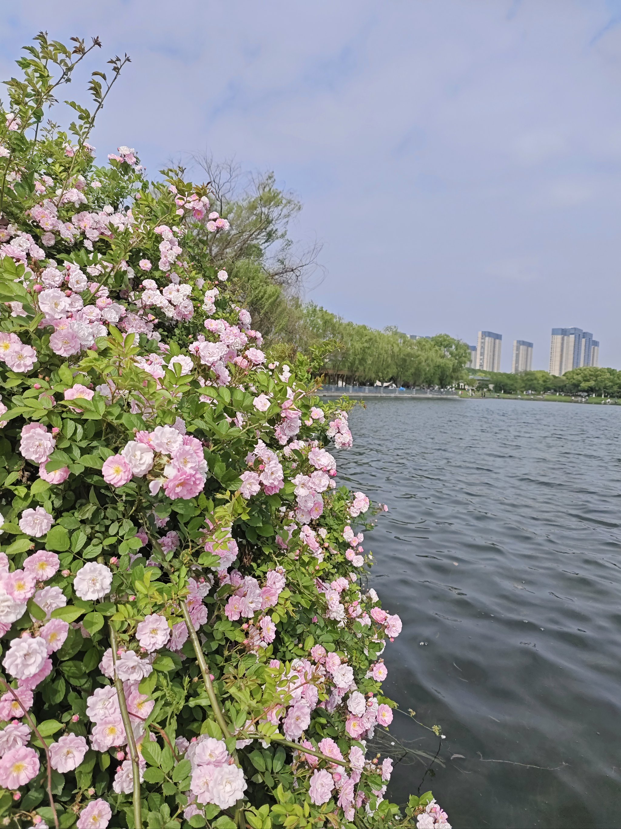 宜兴氿岸华府图片