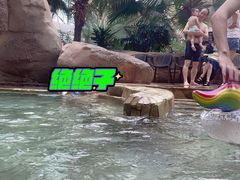 -杭州开元森泊度假乐园