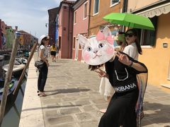 -蒙特拿破仑大街