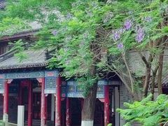 -龙潭水乡