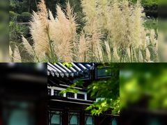 -宜兴龙背山森林公园