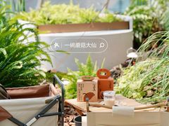 -Seesaw Coffee(西岸凤巢店)