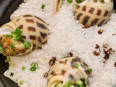 -吴记富苑(朝阳店)