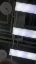 -重道造型
