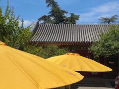 -宫事颐庭·老佛爷贵寿下午茶(颐和园店)