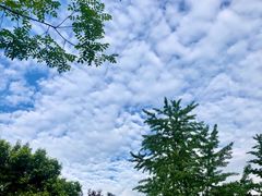 -常乐·对症推拿(世豪第30分店)