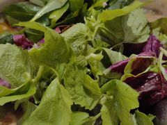 -黔府豆米火锅野菜馆(南马店)