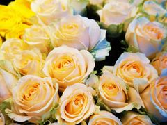 -爱尚幸福鲜花(上地实体店)