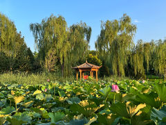 -太阳宫公园