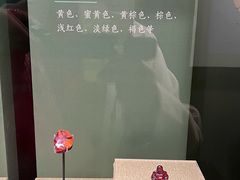 -南越王博物院(王宫展区)