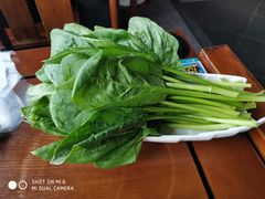 -亿诣蝎府炸酱面羊蝎子火锅(酷车小镇店)