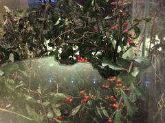 -上海昆虫博物馆