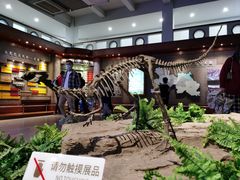 -自贡恐龙博物馆