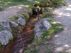 -富田农场