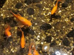 -邈墨茶馆(凤起路店)