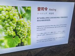 -青岛葡萄酒博物馆