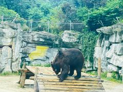 -黔灵山公园