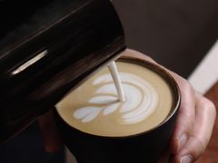 -Again Coffee Roaster(香蜜湖店)