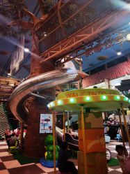 -卡通尼·Safari非洲探索乐园·生日会(金桥国际商业广场店)