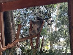 -费瑟代尔野生动物园