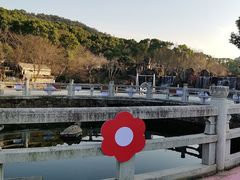 -白马涧龙池景区