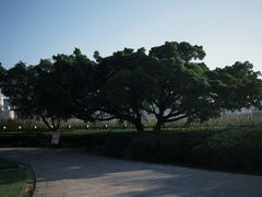 -江心屿景区