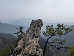 -王顺山国家森林公园