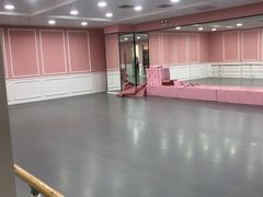 -舞蕾舞蹈(特长生校区)