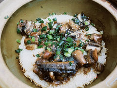 -红星光发煲仔饭(文海店)