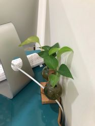 点击看大图 -海涛医疗美容·面部抗衰·注射美鼻