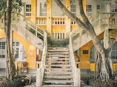 -广东紫坭糖厂(桥头路)
