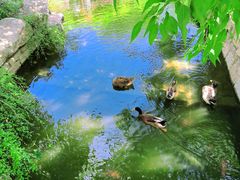 -三里河公园