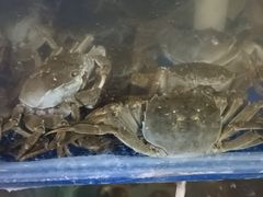 -阳澄湖大闸蟹·琼灵阁牌品牌连锁(吴中总店)