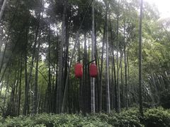 -杭州黄龙洞