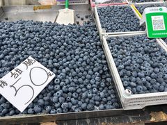 -黑龙江公园