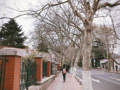 -长颈鹿咖啡(大学路店)