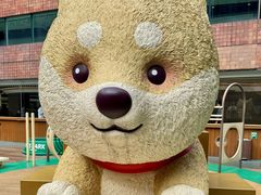 -新城市广场