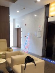 -上海玫瑰医疗美容医院