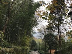 -法云安缦酒店
