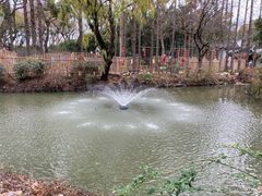 -上海醉白池公园