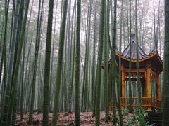 -蜀南竹海景区