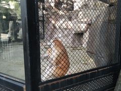 -江头公园