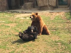 -无锡动物园·太湖欢乐园