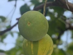 -丝绸小镇荻港古村